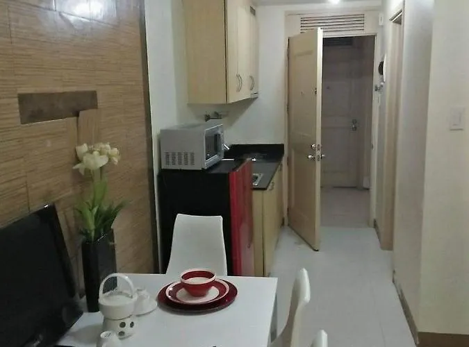 公寓 Chateau Elysee A11 Near Sm Mall And Airport 马尼拉
